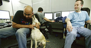 구글 직원들이 사무실에서 개와 놀고 있다.