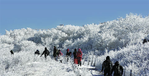 최근 내린 눈으로 눈꽃이 만발한 충북 단양군 소백산에서 등산객들이 겨울정취를 즐기고 있다. ⓒphoto 연합