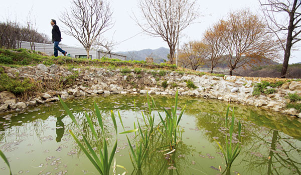 시인의 야심작 ‘연못’에는 잉어와 미꾸라지가 살고 있다. 6월쯤이면 수련으로 덮인다.
