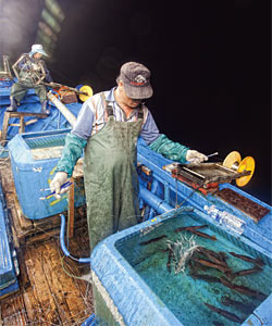 지난 6월 13일 명진호 선원은 조업 초기 예상보다 적은 어획량에 실망감을 감추지 못했다. ⓒphoto 김승완 영상미디어 기자