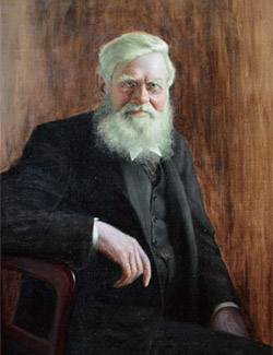 다윈과 함께 진화론의 공동 창시자로 평가받는 앨프리드 러셀 월리스. 지난 1월 런던 자연사박물관에 헌정된 초상화다.