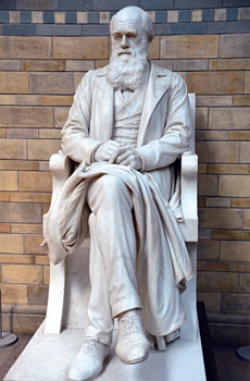 런던 자연사박물관의 다윈 석상.