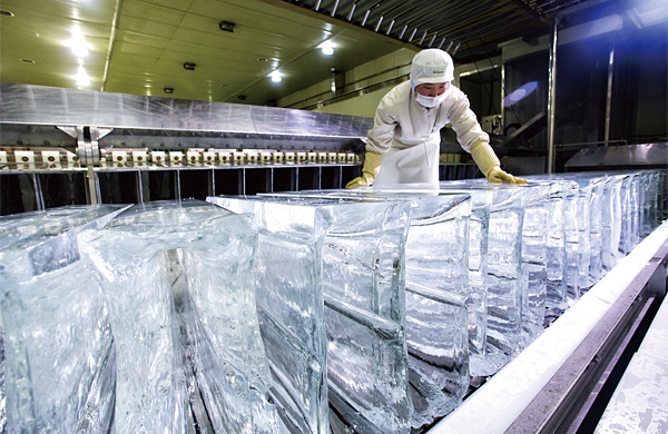 지난 7월 9일 강원도 춘천시 서면의 풀무원 얼음 공장. 60여명의 직원이 하루 100t의 식용 얼음을 생산한다. ⓒphoto 이경호 영상미디어 차장