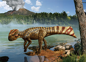 경기도 화성에서 화석이 발견된 공룡 ‘코리아 케라톱스’를 이융남 관장이 복원한 이미지. 2011년에 이름도 붙였다. ⓒphoto 이융남
