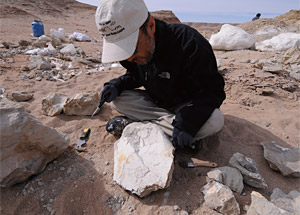 몽골 고비사막에서 공룡 화석을 살피고 있는 이융남 관장. ⓒphoto 이융남
