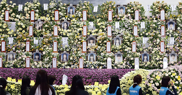 경기도 안산시 화랑유원지 정부합동분향소 내에 마련된 희생자들의 영정사진. ⓒphoto 이태경 조선일보 기자