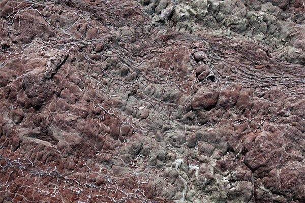 <b></div>탄도</b> 미세한 균열이 있는 바위틈으로 석영 등이 녹아들어 가며 거미줄 같은 문양이 생겼다.