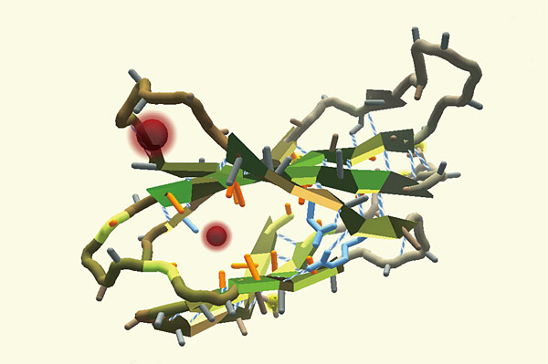 연구 목적의 기능성 게임 ‘폴드잇’의 게임 화면. 단백질 구조 사이에 있는 붉은색 구가 병균이다.
