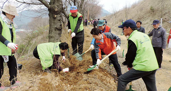 지난 4월 권영진 대구시장(오른쪽에서 두 번째)이 푸른대구를 위한 나무심기 행사에서 삽으로 흙을 덮어 묘목을 심고 있다. ⓒphoto  대구시청