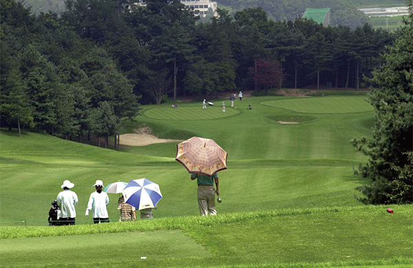한여름 골퍼들이 양산을 쓴 채 페어웨이를 걷고 있다. ⓒphoto 조선일보