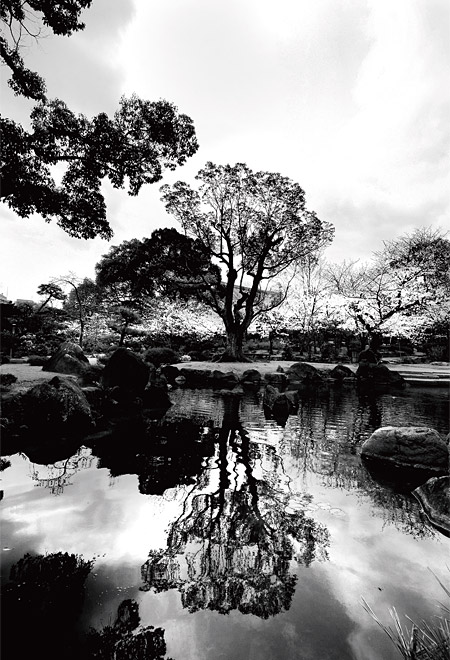 오사카 시텐노지의 정원 - 일본 오사카 덴노지구에 있는 일본 최초의 불교 사찰. 일본 불교 창시자인 쇼토쿠 태자가 불국 염원을 담아 백제 기술자들을 초청, 백제 가람과 비슷한 형식으로 지었다. 자연 샘물을 이용해 ‘극락의 연못’과 ‘유리광의 연못’을 만든 정원은 아름답기로 유명하다.