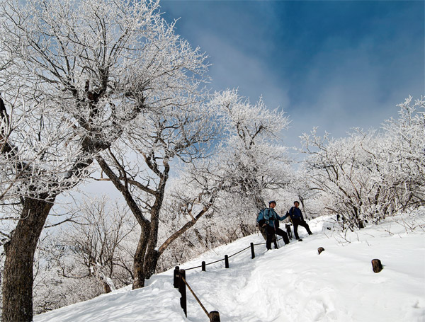오대산 정상인 비로봉으로 가는 길은 3월 초까지 멋진 설국(雪國)을 만들어낸다. ⓒphoto 염동우 영상미디어 기자