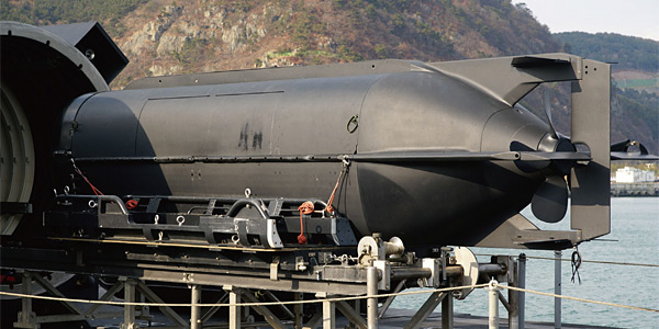 오하이오함 외부 튜브에 실려 있는 특수부대 침투용 소형 잠수정. ⓒphoto 미 해군