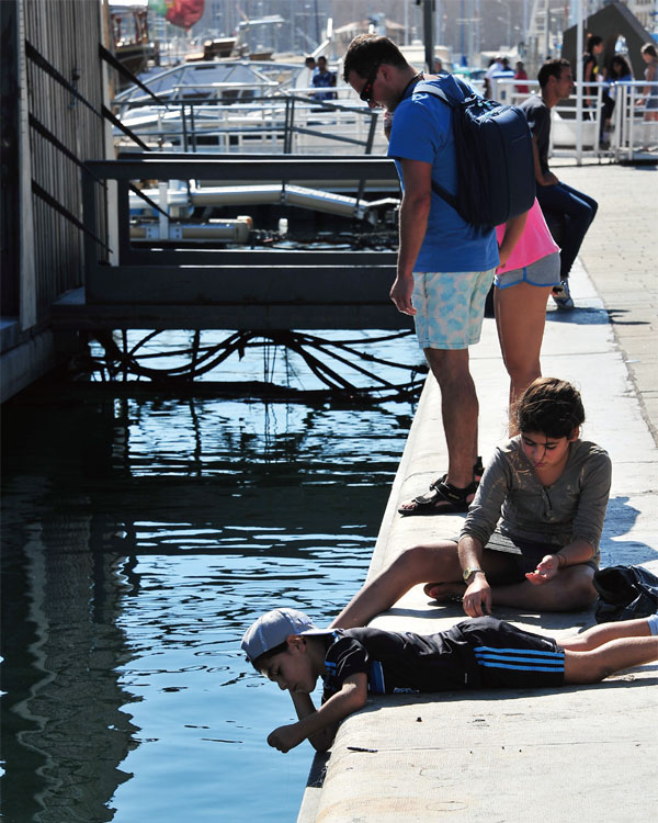 항구에서 바닷속을 살펴보며 ‘햇살바라기’를 즐기는 아이들. 마르세유 항구에서는 줄 하나만 드리우면 금방 낚시터가 된다. ⓒphoto 이승원
