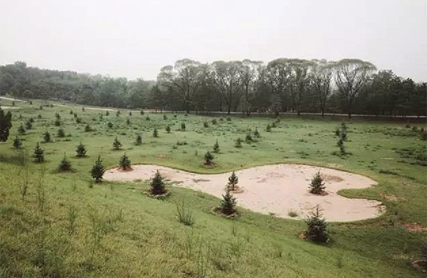 어린 나무를 페어웨이에 심어둔 베이징의 십삼릉골프장.