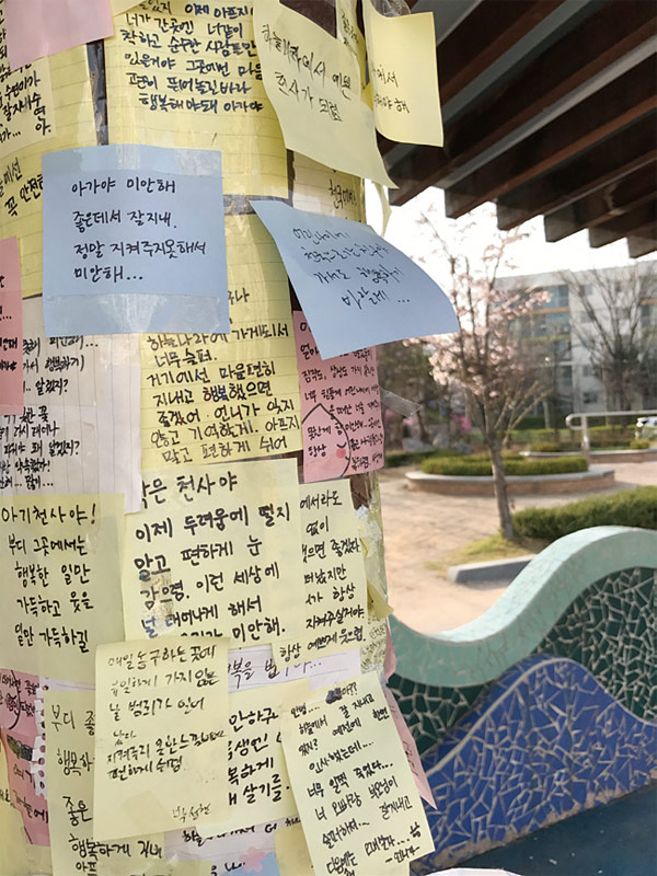 희생당한 초등생이 살던 아파트에 붙어 있는 추모 메시지들. ⓒphoto 이준우 조선일보 기자