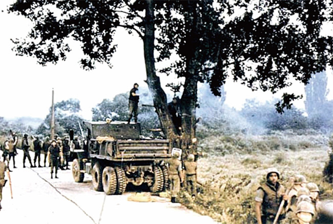 1976년 8월 미군 공병부대가 판문점에서 미루나무를 잘라내는 폴 버니언 작전을 하고 있다. ⓒphoto 위키피디아