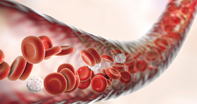 ‘암브로시아’는 16세부터 25세까지의 건강한 청년들의 혈액을 공급받아 노화를 늦추기 원하는 35세 이상의 사람들에게 이틀에 걸쳐 1.5L의 혈장 성분을 수혈한다.