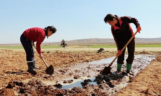 북한 농민들이 황해남도 신천에서 못자리를 내기 위해 논에 물을 대고 있다. ⓒphoto WFP