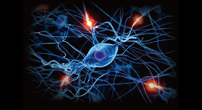 뉴런으로 이뤄진 뇌의 신경망. 뇌에는 통증을 예감하는 특정 부위가 존재한다. ⓒphoto medicalnewstoday.com