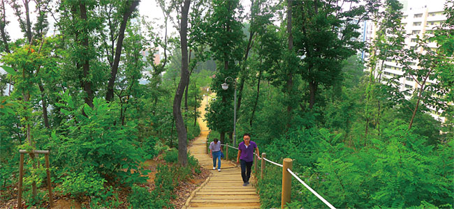 서울 서초구에 위치한 서리풀공원 산책길에 오르는 사람들. ⓒphoto 양승식 조선일보 기자