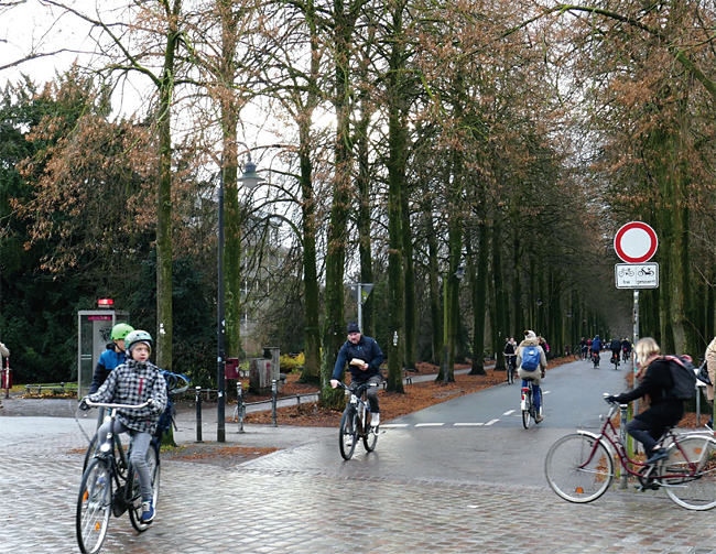 뮌스터는 흔히 자전거의 도시라 불린다.
