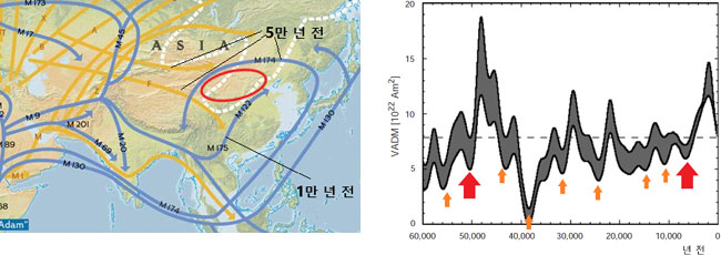 (왼쪽)지난 6만 년 간 지구자기장 변화와 (오른쪽)동아시아 지역 인류 이동을 보여주는 DNA 분석 지도. 출처: 이진아