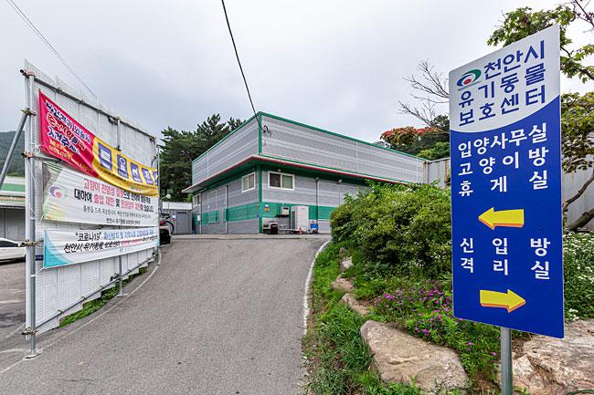 천안시유기동물보호소 입구. ⓒphoto 김종연 영상미디어 기자