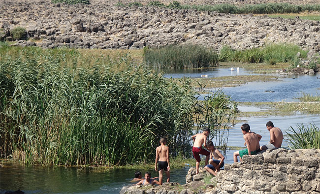 유프라테스강은 수많은 지류로 구성돼 있다. 여름철 유프라테스강에서의 수영은 터키인들이 거의 매일 즐기는 일상이다.
