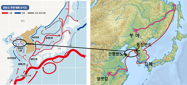 왼쪽: 동아시아 해류 분포도, 오른쪽: 해류를 이용한 한반도 주변 바닷길 및 거기서 양쯔강으로 이어지는 루트. 검은 원은 산둥반도와 옹진반도 사이의 좁은 바다를 표시. 제공: 이진아