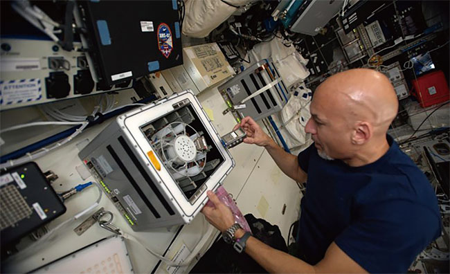 국제우주정거장에서 한 우주비행사가 미생물 제련 반응로를 원심분리기에  넣고 있다. photo scitechdaily.com