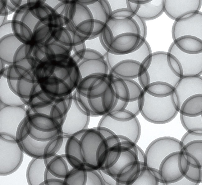 다공성 나노물질의 표면을 찍은 이미지.