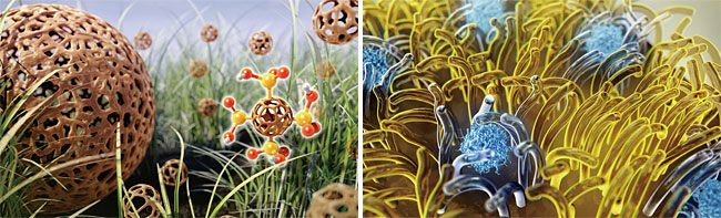 식물을 갖고 플라스틱을 만들어낼 수 있다는 연구를 보고한 논문과 함께 실린 학술지의 이미지들. ⓒphoto 손성욱 교수