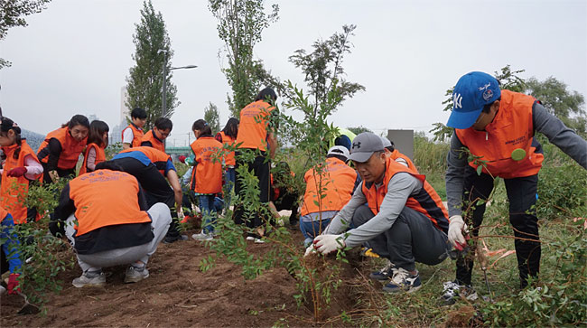 미래에셋증권 직원들이 2019년 4차례 진행한 한강숲 조성 봉사활동.
