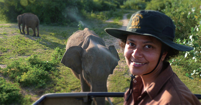 코끼리 보호단체인 ‘트렁크 앤드 리브스’의 샤르민 드 실바 대표. ⓒphoto Udawalawe Elephant Research Project