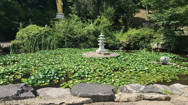 금당사 마당에 연못이 있다. 바위가 많은 곳에는 물이 있어야 터가 오래간다.
