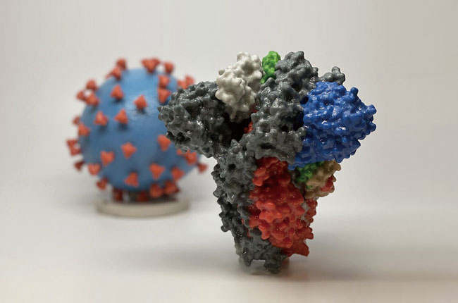 코로나 바이러스 표면의 스파이크 단백질을 3D 프린터로 확대한 모형. ⓒphoto phys.org