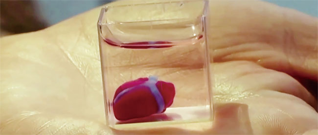 이스라엘 연구진이 개발한 3D 인공심장. ⓒphoto 유튜브