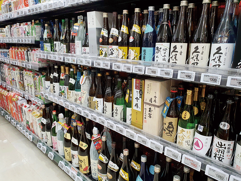 일본박사 이미지