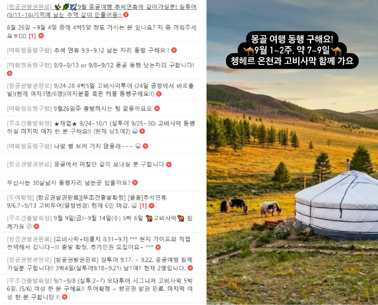 몽골 여행 동행을 구하는 글. photo 네이버 카페 '러브몽골', 인스타그램 캡처