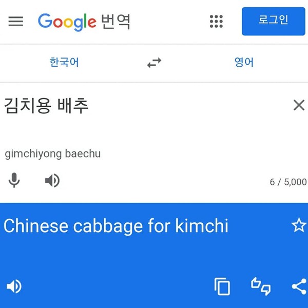 '김치용 배추'를 구글 번역기에 넣었을 때 결과.photo 서경덕 교수 페이스북 캡처