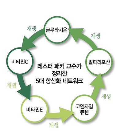 인쇄하기