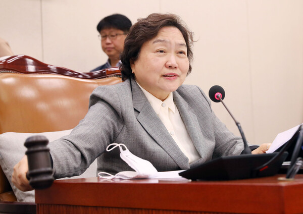 인재근 더불어민주당 의원. photo 뉴시스