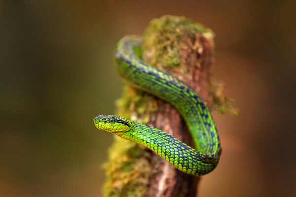 photo 게티이미지코리아