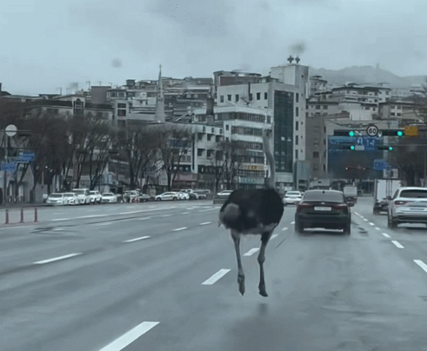 photo 인스타그램 'namhwi' 발췌