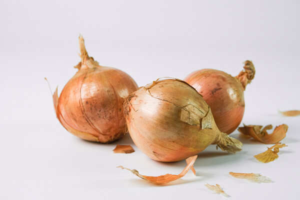 photo 게티이미지코리아