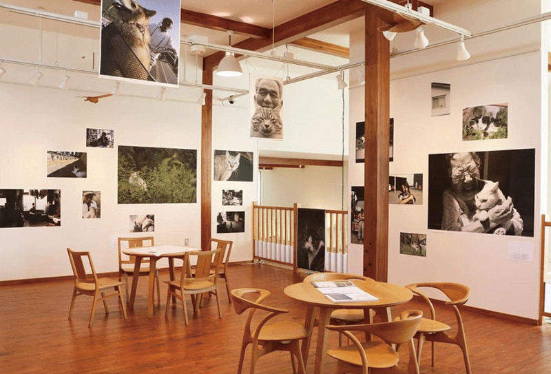 1980년대부터 히가시카와에서 매년 열리는 사진전. ‘사진의 마을’ 프로젝트는 히가시카와를 전국적으로 주목받게 만든 계기가 됐다.