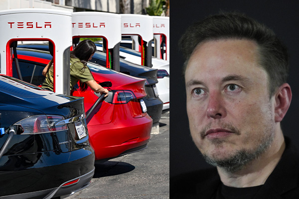 일론 머스크 테슬라 최고경영자(CEO). photo 뉴시스 / 편집 주간조선