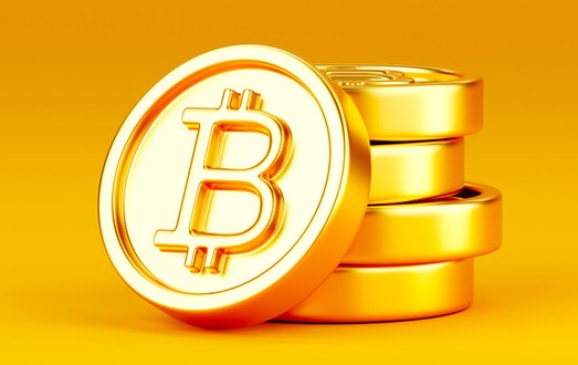 photo 게티이미지코리아