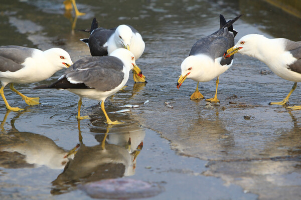 photo 게티이미지코리아